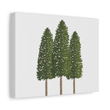 Ponderosa Pine Canvas Print – Wall Art