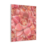 Graptosedum California Sunset Succulent Pattern Canvas Print – Botanical Wall Art