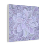 Graptopetalum Murasaki Succulent Pattern Canvas Print – Botanical Wall Art
