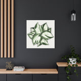 Manjula Pothos Canvas Print – Botanical Wall Art
