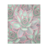 Echeveria Violet Queen Succulent Pattern Canvas Print – Botanical Wall Art