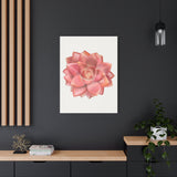 Graptosedum California Sunset Succulent Canvas Print – Botanical Wall Art