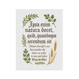 "Nature Herself Is The Best Teacher" Pliny The Elder Quote Garden Banner, Outdoor Decor, Plant Lover Gift, Home and Garden Decor, Inspirational Banner for Garden