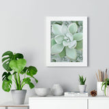 Pachyveria Haagei Succulent Pattern Framed Print – Botanical Wall Art