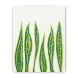 Snake Plant Canvas Print – Botanical Wall Art