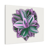 Tradescantia Nanouk Canvas Print – Botanical Wall Art