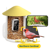 Bird feeder with camera and screen displaying a Northern Cardinal, on a black background.