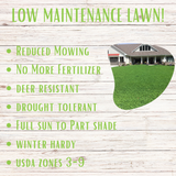 Advertisement for low maintenance lawn with text and a picture of a lawn.