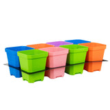 Colorful plastic pots with a transparent tray on a white background 5" Nursery Pots with Insert Tray