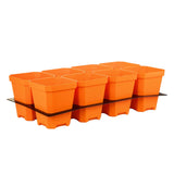 Set of orange seedling pots with a brown tray on a white background