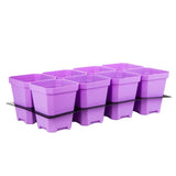 Set of purple plant pots with a black tray on a white background