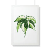 Philodendron Cream Splash Framed Print – Botanical Wall Art