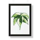 Philodendron Cream Splash Framed Print – Botanical Wall Art