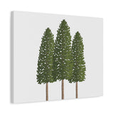 Ponderosa Pine Canvas Print – Wall Art