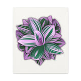 Tradescantia Nanouk Canvas Print – Botanical Wall Art