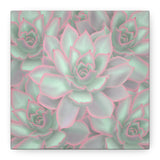 Echeveria Violet Queen Succulent Pattern Canvas Print – Botanical Wall Art