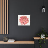 Graptosedum California Sunset Succulent Canvas Print – Botanical Wall Art