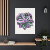 Tradescantia Nanouk Canvas Print – Botanical Wall Art