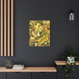 Noble Aeonium Succulent Pattern Canvas Print – Botanical Wall Art