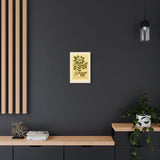 Magnolia and Eastern Tiger Swallowtail, Botanical Illustration on Canvas