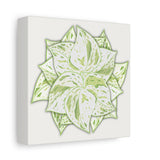 Snow Queen Pothos Canvas Print – Botanical Wall Art
