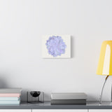 Graptopetalum Murasaki Succulent Canvas Print – Botanical Wall Art
