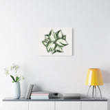 Manjula Pothos Canvas Print – Botanical Wall Art