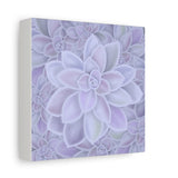Graptopetalum Murasaki Succulent Pattern Canvas Print – Botanical Wall Art