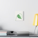 Monstera Albo Canvas Print – Botanical Wall Art