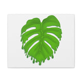 Melting Monstera Canvas Print – Botanical Wall Art