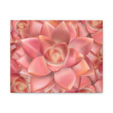 Graptosedum California Sunset Succulent Pattern Canvas Print – Botanical Wall Art