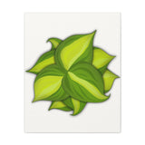Philodendron Brasil Canvas Print – Botanical Wall Art