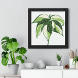 Philodendron Cream Splash Framed Print – Botanical Wall Art