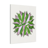 Syngonium Tricolor Pattern Canvas Print – Botanical Wall Art
