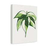 Philodendron Cream Splash Canvas Print – Botanical Wall Art
