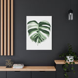 Melting Monstera Albo Canvas Print – Botanical Wall Art