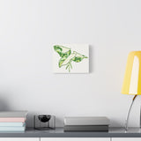 Marble Syngonium Canvas Print – Botanical Wall Art