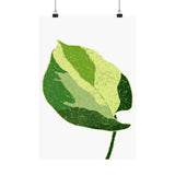 Manjula Pothos Illustrated Botanical Print – Unframed Wall Art