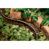 1/4" x 50' Drip Blank Distribution Tubing Black | 67300