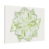 Snow Queen Pothos Canvas Print – Botanical Wall Art