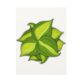 Philodendron Brasil Canvas Print – Botanical Wall Art