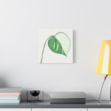 Monstera Albo Canvas Print – Botanical Wall Art