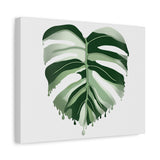 Melting Monstera Albo Canvas Print – Botanical Wall Art