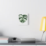 Melting Monstera Albo Canvas Print – Botanical Wall Art