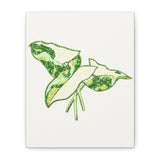 Marble Syngonium Canvas Print – Botanical Wall Art