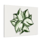Manjula Pothos Canvas Print – Botanical Wall Art