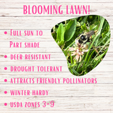 Promotional graphic for a 'Blooming Lawn' product with a bee on grass and text about lawn characteristics.