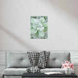 Pachyveria Haagei Succulent Pattern Botanical Print – Unframed Wall Art