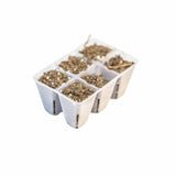 White plastic seed tray with compartments filled with soil on a white background