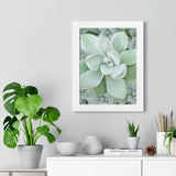 Pachyveria Haagei Succulent Pattern Framed Print – Botanical Wall Art